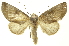 ( - INB0003942958)  @15 [ ] Copyright (2012) Juan Mata Lorenzen INBio