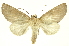  ( - INB0003942958)  @15 [ ] Copyright (2012) Juan Mata Lorenzen INBio