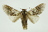  ( - INB0003943003)  @13 [ ] Copyright (2012) Juan Mata Lorenzen Unspecified