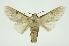  ( - INB0003943003)  @12 [ ] Copyright (2012) Juan Mata Lorenzen Unspecified