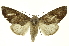  ( - INB0003943032)  @14 [ ] Copyright (2012) Juan Mata Lorenzen INBio