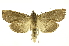  ( - INB0003943044)  @14 [ ] Copyright (2012) Juan Mata Lorenzen Unspecified