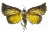  ( - INB0003943076)  @12 [ ] CreativeCommons - Attribution Non-Commercial Share-Alike  National Biodiversity Institute of Costa Rica National Biodiversity Institute of Costa Rica