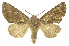  ( - INB0003943152)  @14 [ ] Copyright (2012) J. Montero INBio