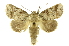  ( - INB0003943160)  @14 [ ] Copyright (2012) Juan Mata Lorenzen Unspecified
