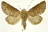  ( - INB0003943205)  @14 [ ] Copyright (2012) J. Montero INBio