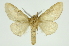  ( - INB0003943260)  @13 [ ] Copyright (2012) Juan Mata Lorenzen Unspecified