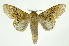  ( - INB0003943269)  @11 [ ] Copyright (2012) Juan Mata Lorenzen Unspecified