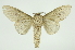 ( - INB0003943269)  @11 [ ] Copyright (2012) Juan Mata Lorenzen Unspecified