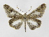  ( - INB0003946868)  @14 [ ] Copyright (2012) J. Montero Instituto Nacional de Biodiversidad