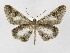  ( - INB0003946868)  @14 [ ] Copyright (2012) J. Montero Instituto Nacional de Biodiversidad