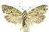  ( - INB0003955575)  @13 [ ] CreativeCommons - Attribution Non-Commercial Share-Alike (2012) National Biodiversity Institute of Costa Rica National Biodiversity Institute of Costa Rica