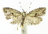  ( - INB0003955584)  @12 [ ] CreativeCommons - Attribution Non-Commercial Share-Alike (2012) National Biodiversity Institute of Costa Rica National Biodiversity Institute of Costa Rica