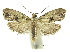  ( - INB0003955592)  @13 [ ] CreativeCommons - Attribution Non-Commercial Share-Alike (2012) National Biodiversity Institute of Costa Rica National Biodiversity Institute of Costa Rica