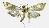  ( - INB0003955645)  @12 [ ] CreativeCommons - Attribution Non-Commercial Share-Alike  National Biodiversity Institute of Costa Rica National Biodiversity Institute of Costa Rica