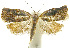  ( - INB0003969748)  @13 [ ] CreativeCommons - Attribution Non-Commercial Share-Alike (2012) National Biodiversity Institute of Costa Rica National Biodiversity Institute of Costa Rica