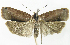  ( - INB0003969798)  @14 [ ] CreativeCommons - Attribution Non-Commercial Share-Alike  National Biodiversity Institute of Costa Rica National Biodiversity Institute of Costa Rica