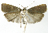  ( - INB0003969798)  @13 [ ] CreativeCommons - Attribution Non-Commercial Share-Alike  National Biodiversity Institute of Costa Rica National Biodiversity Institute of Costa Rica