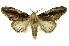  ( - INB0003969817)  @14 [ ] Copyright (2012) Juan Mata Lorenzen Unspecified
