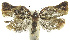  ( - INB0003969870)  @11 [ ] CreativeCommons - Attribution Non-Commercial Share-Alike (2012) National Biodiversity Institute of Costa Rica National Biodiversity Institute of Costa Rica