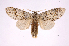  ( - INB0003971078)  @13 [ ] Copyright (2012) I. Chacon Instituto Nacional de Biodiversidad