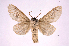  ( - INB0003971078)  @13 [ ] Copyright (2012) I. Chacon Instituto Nacional de Biodiversidad