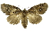  ( - INB0003977079)  @13 [ ] Copyright (2012) Juan Mata Lorenzen Unspecified