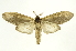 ( - INB0003977093)  @15 [ ] Copyright (2012) Juan Mata Lorenzen Unspecified