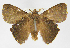  ( - INB0003982724)  @12 [ ] Copyright (2012) J. Montero Instituto Nacional de Biodiversidad