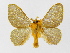  ( - INB0003982748)  @14 [ ] Copyright (2012) J. Montero Instituto Nacional de Biodiversidad