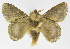  ( - INB0003982756)  @12 [ ] Copyright (2012) J. Montero Instituto Nacional de Biodiversidad