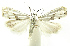  ( - INB0003982868)  @13 [ ] CreativeCommons - Attribution Non-Commercial Share-Alike (2012) National Biodiversity Institute of Costa Rica National Biodiversity Institute of Costa Rica