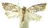  ( - INB0003982888)  @11 [ ] CreativeCommons - Attribution Non-Commercial Share-Alike (2012) National Biodiversity Institute of Costa Rica National Biodiversity Institute of Costa Rica
