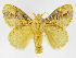  ( - INB0003983014)  @14 [ ] Copyright (2012) J. Montero Instituto Nacional de Biodiversidad