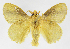  ( - INB0003983014)  @14 [ ] Copyright (2012) J. Montero Instituto Nacional de Biodiversidad
