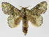  ( - INB0003983026)  @14 [ ] Copyright (2012) J. Montero Instituto Nacional de Biodiversidad