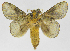  ( - INB0003983026)  @14 [ ] Copyright (2012) J. Montero Instituto Nacional de Biodiversidad
