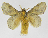  ( - INB0004012971)  @14 [ ] Copyright (2012) J. Montero Instituto Nacional de Biodiversidad
