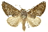  ( - INB0004012994)  @11 [ ] Copyright (2012) J. Montero INBio