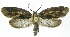  ( - INB0004016055)  @13 [ ] CreativeCommons - Attribution Non-Commercial Share-Alike (2012) National Biodiversity Institute of Costa Rica National Biodiversity Institute of Costa Rica