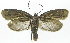  ( - INB0004016055)  @12 [ ] CreativeCommons - Attribution Non-Commercial Share-Alike (2012) National Biodiversity Institute of Costa Rica National Biodiversity Institute of Costa Rica
