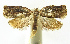 ( - INB0004016164)  @11 [ ] CreativeCommons - Attribution Non-Commercial Share-Alike (2012) National Biodiversity Institute of Costa Rica National Biodiversity Institute of Costa Rica
