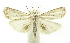  ( - INB0004016198)  @13 [ ] CreativeCommons - Attribution Non-Commercial Share-Alike (2012) National Biodiversity Institute of Costa Rica National Biodiversity Institute of Costa Rica
