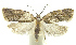  ( - INB0004016217)  @14 [ ] CreativeCommons - Attribution Non-Commercial Share-Alike (2012) National Biodiversity Institute of Costa Rica National Biodiversity Institute of Costa Rica