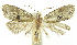  ( - INB0004016421)  @12 [ ] CreativeCommons - Attribution Non-Commercial Share-Alike (2012) National Biodiversity Institute of Costa Rica National Biodiversity Institute of Costa Rica
