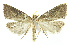  ( - INB0004016433)  @11 [ ] CreativeCommons - Attribution Non-Commercial Share-Alike (2012) National Biodiversity Institute of Costa Rica National Biodiversity Institute of Costa Rica
