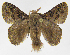  ( - INB0004017268)  @11 [ ] Copyright (2012) J. Montero Instituto Nacional de Biodiversidad