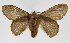  ( - INB0004017284)  @14 [ ] Copyright (2012) J. Montero Instituto Nacional de Biodiversidad