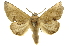  ( - INB0004023556)  @14 [ ] Copyright (2012) Juan Mata Lorenzen Unspecified