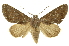  ( - INB0004027650)  @14 [ ] Copyright (2012) J. Montero INBio